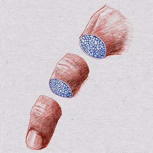 Item #27921743008571817687184646178926159877577224498393299984677393029549204176897 Media