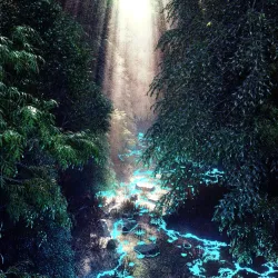 Path to Eden