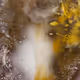 111264774895172989553606282022194155892745764425417346937131400149835437834241
