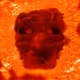 1596882657918842955756337614644305358543285662575253550296320023517017931777