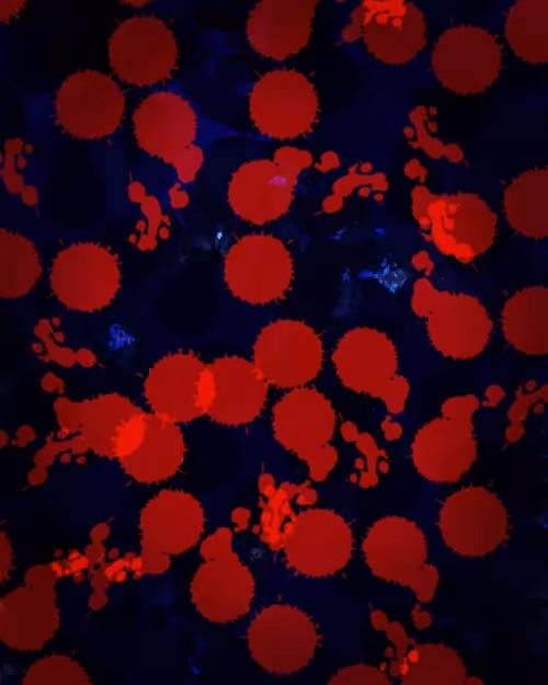 Item #12181377759058499481773365372983497870041092792744141993469646680615167197185 Media