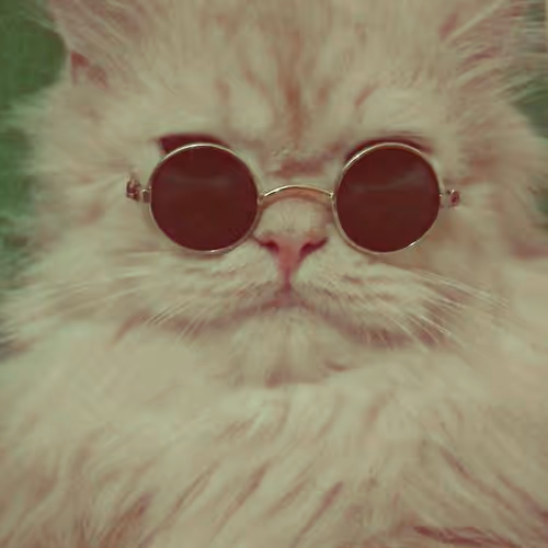 Retro Cool Cat