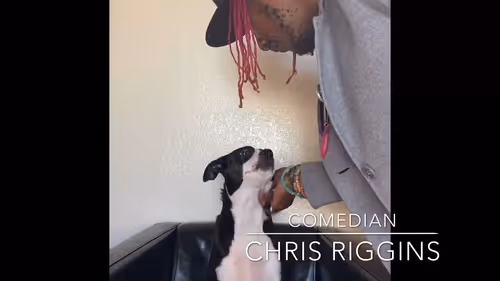 Item #112525609738612545857647791516614569906902118907369590729715034870342603505665 Media