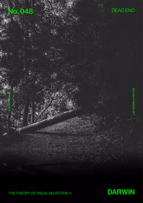 Item #5978613787773959064064561136939516829698711004901919756353002659685335040001 Media