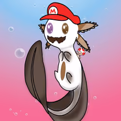 Axolotl 4966