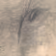 104318251647958436411195055614671773850559292574494969658531641850031578808391