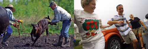 Item #95798395344160826478230491499252628572040143534185362822691349320313874677761 Media