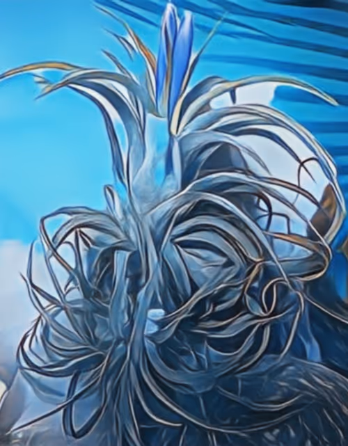 Item #8607677958191038044004830040679912821884152676576415147527512931007297748993 Media