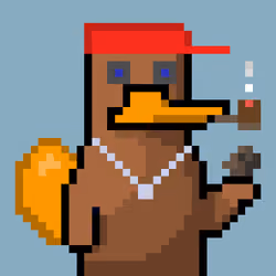 Platy Punk #265