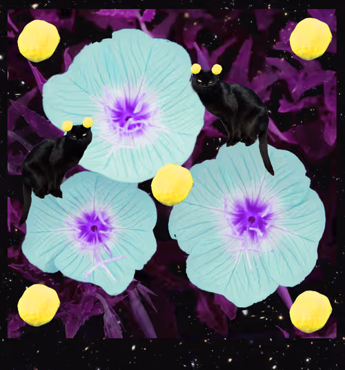 Item #92783142183670148779523509575317469478567850605598829462236361888053243936778 Media