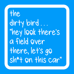 the dirty bird