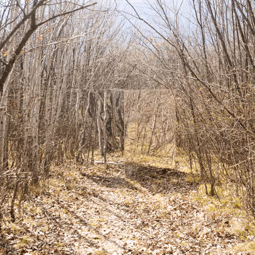 Item #77420488806397133330525240221901748923623733359161899369760968752298165534721 Media