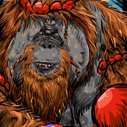 24427015361502395679383015096798352629317293472422721584968238885369379028993