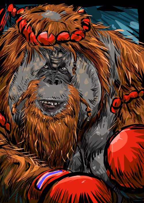 Item #24427015361502395679383015096798352629317293472422721584968238885369379028993 Media