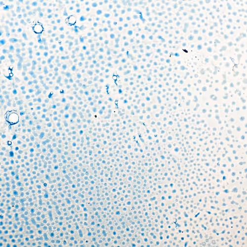 9251341193756129610411101804839683921415719585297066577807806986497518731265