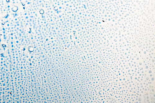 Item #9251341193756129610411101804839683921415719585297066577807806986497518731265 Media