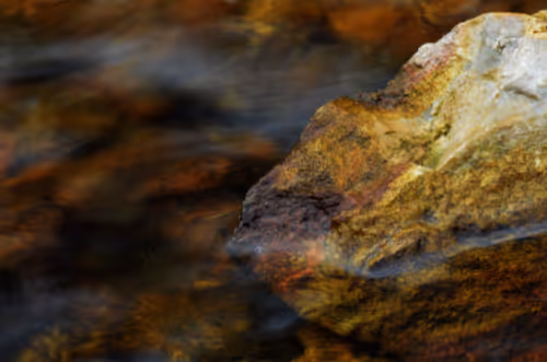 Item #97703427282030741984022634986911983897204836568735072395572896071113466970113 Media