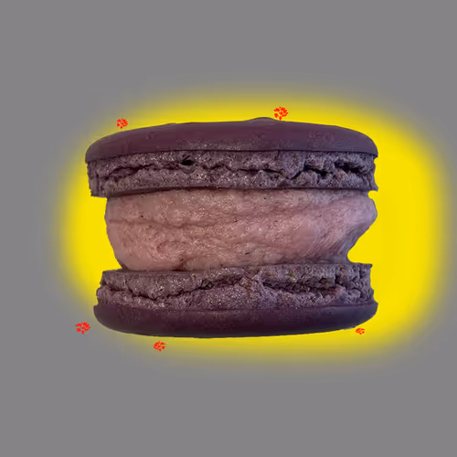 Item #2845406216766160086976848113976095904799317509645970829858434029136591716353 Media