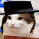 111890676422307184823290630211063403927253535442333530533804706384493011795969