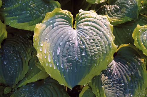 Item #78614967916850878758896281278088562819031429561597845143063368082772084129793 Media