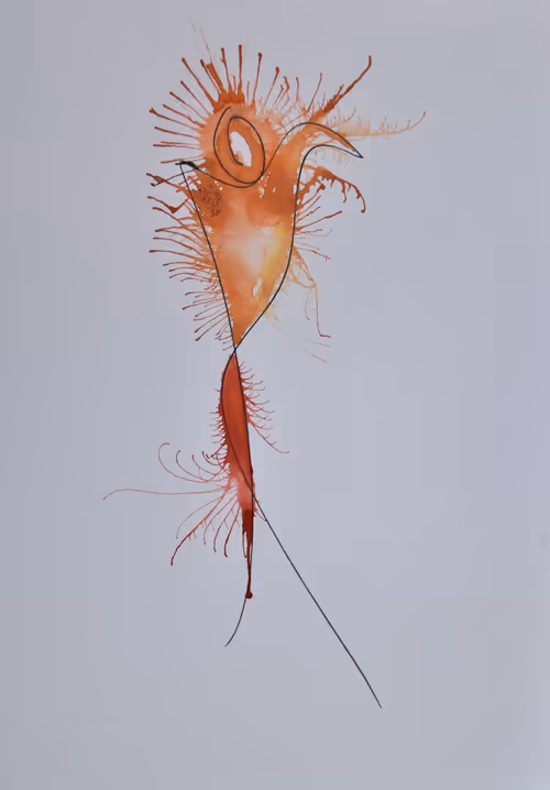 Item #5933605861827810115765458697871522694083350793229885744995134280297223290892 Media