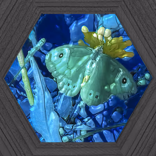 Item #19115886294448247408636390479007434719599239311134408839063466959124022951937 Media