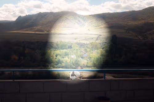 Item #8293050977498067439738640211663030445621008093446820664285480971225761054721 Media