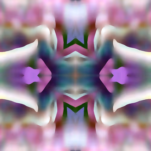 Item #84166766831979456547517341543068149091229272669726785321432478003589871042561 Media