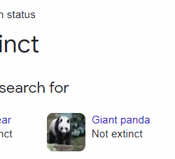 Are Bears Extinct?