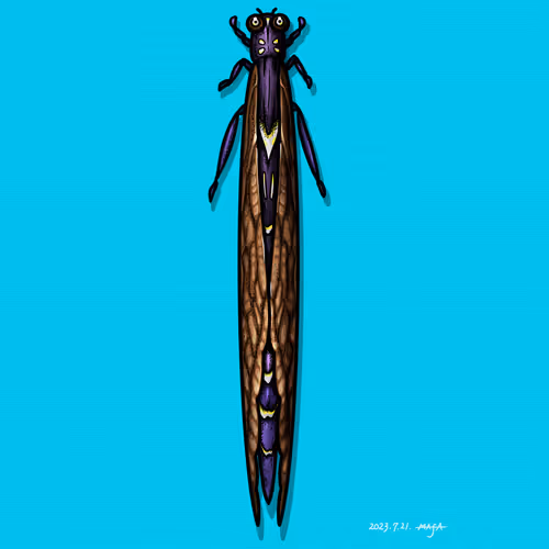 Item #39386279884192996091952156842286994957380303700469916484414563573274672889857 Media