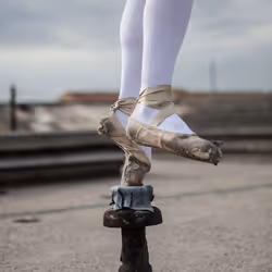 94745967520971096604057728122660795152210802931068623242205408381997450002433