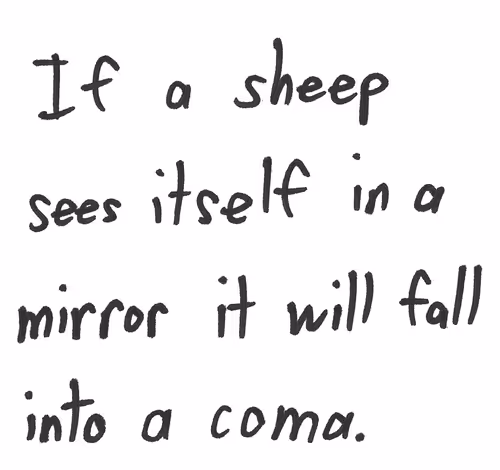 Item #56836866372284245272053052741954891273425498214946692072436553028657496457217 Media
