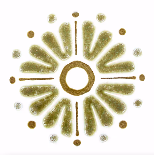 Item #54688137389352509344092767467911615879738143210533731435142059653348812914689 Media