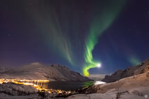 Item #85467693405940147672262575917191893543138067804729849030797599849070498676737 Media