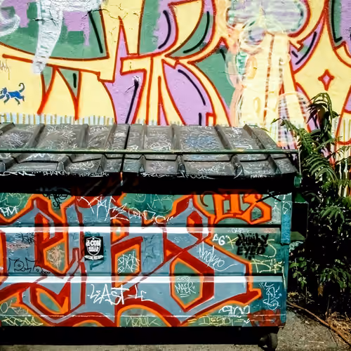 Dumpster Statements #03