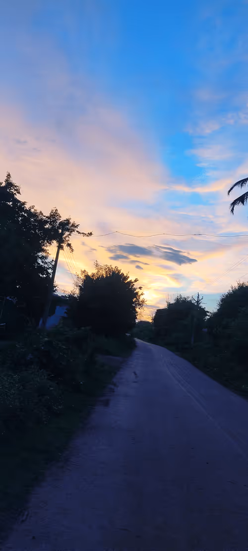 Item #48602233424927895677357552625426419173854123676097798180227536475376714776577 Media