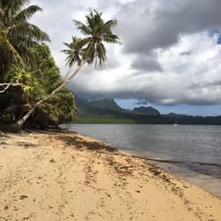 Kosrae Island - Beach, Trees and Mountain