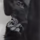 7868994558059478733253527697717682001838655351329122908542803807498917642241