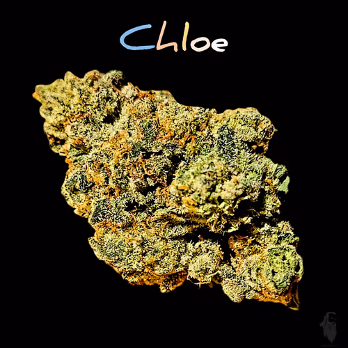 Item #87689570283297516471900235800511228078692535605346005540316604143323288961025 Media