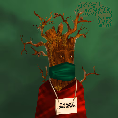 Item #38969088093190670381878411557565580659447067316565611691845276212852674265089 Media