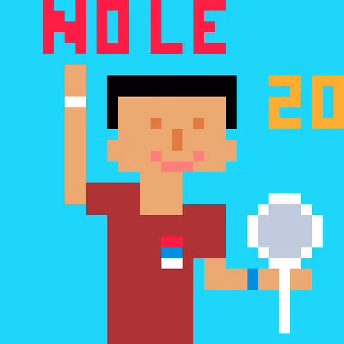 Novak Djkovic 20 Grand Slams, and still counting...