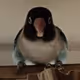 57648704657883384174206259852845635434286278933481328957170245896585051373569