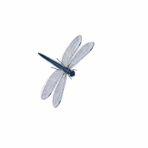 Item #3268803336195748471810721187767157449447762618845585636632076485484039110657 Media