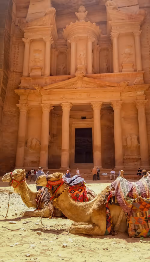 Item #32571599381915271373932081734413523199662368028101372806219517605133525450753 Media