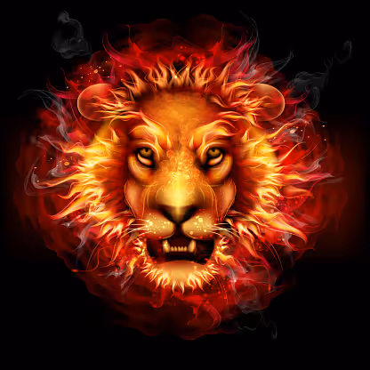 Untitled Collection #434686826