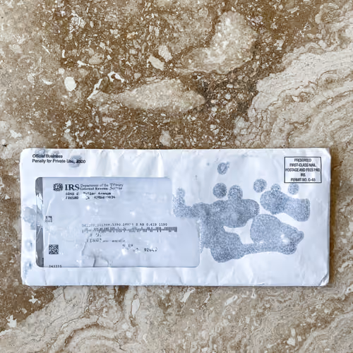 Unvaxxed Sperm 03 - IRS Edition