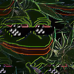 Trippy Pepe #25
