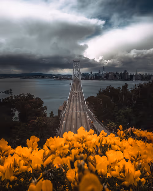 Item #50898105301689156187270630185722760964054040710391092940162900844964508336129 Media