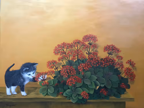 Item #33771572137861577588039568826703550776381054686546242878221133212544388825089 Media