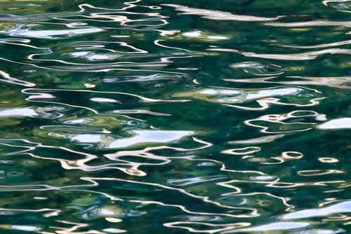 Item #81441334517361708208394031135700195474624799851237506988747108126126411612161 Media